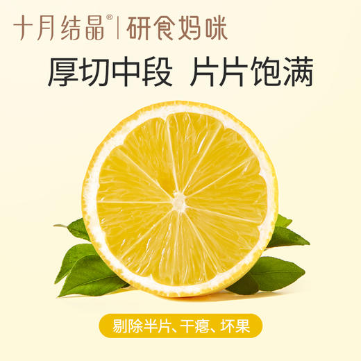 研食妈咪冻干VC柠檬片0添加糖孕妇孕期泡水喝丰富VC果茶 商品图1