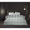南5楼堂皇床品奢·臻暖匈牙利进口防污白鹅羽绒被 商品缩略图0