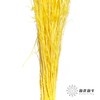 永生花材 | 小时草黄色 商品缩略图1