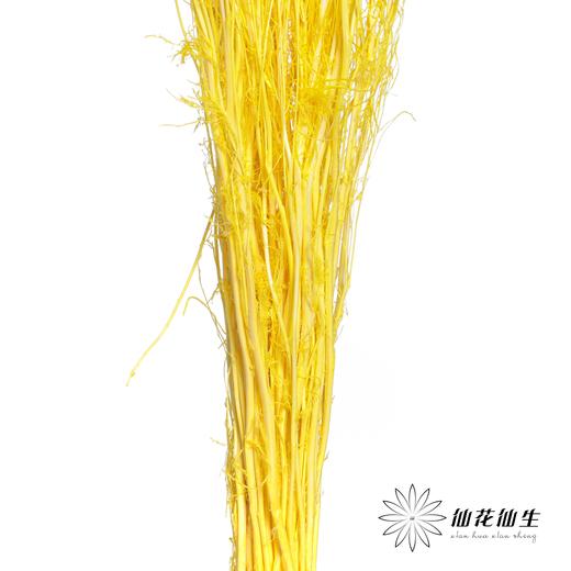 永生花材 | 小时草黄色 商品图1