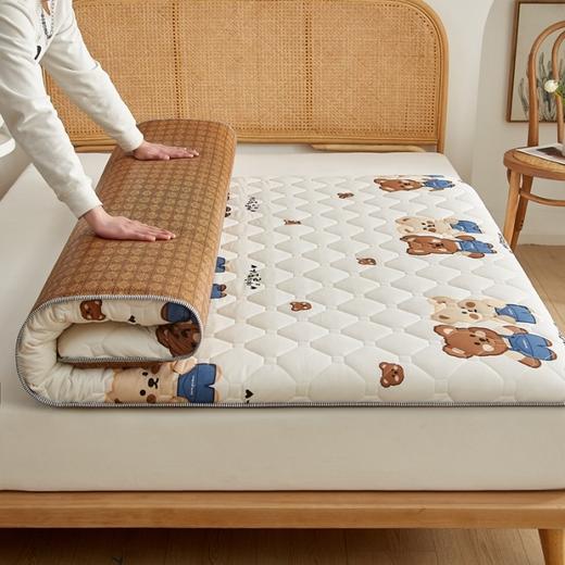 【多功能双面】印花磨毛藤席垫系列新款床垫双面榻榻米床垫 商品图2