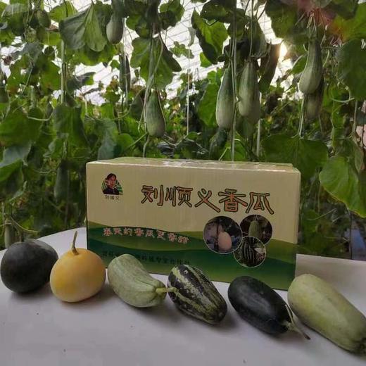 刘顺义生态香瓜 生态种植，不使用任何化肥、化学农药、化学杀虫剂、除草剂、膨大素，保果剂，激素， 采用人工除草生物防控； 地下深井水灌溉 商品图1