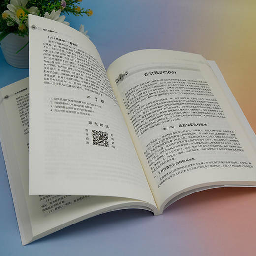 政府预算管理 商品图2