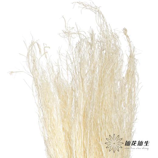 永生花材 | 小时草白色 商品图2