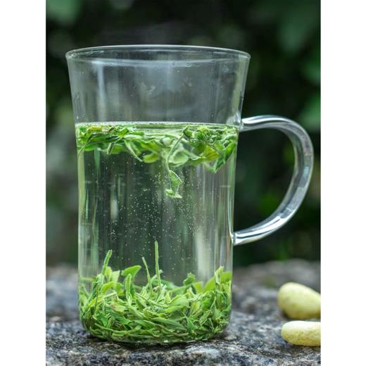 蓝焙2024年新春茶明前恩施玉露一芽一叶特级蒸青富硒绿茶1686实惠袋装 50克*1袋 商品图2