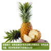 广东菠萝（1500±100g）-不削皮请备注 商品缩略图0