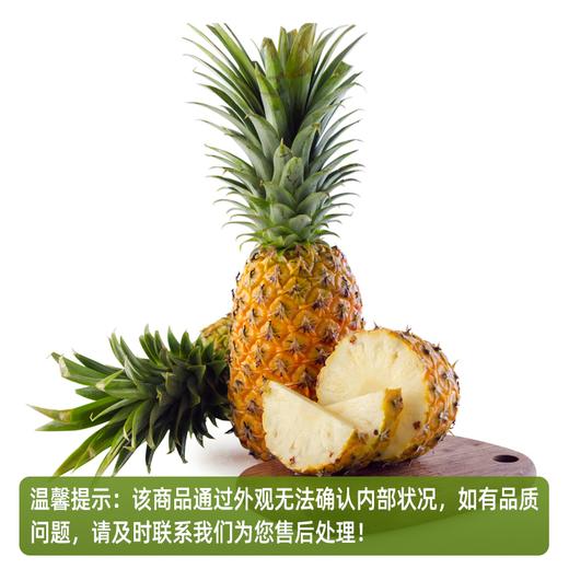 广东菠萝（1500±100g）-不削皮请备注 商品图0