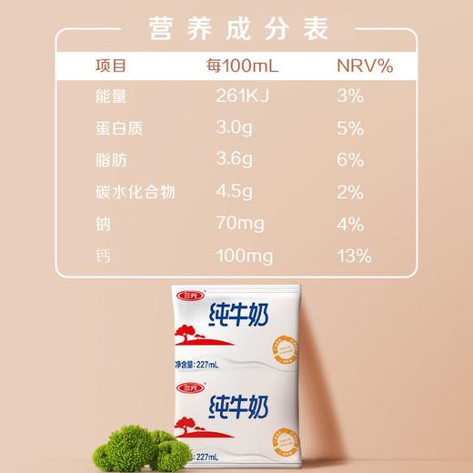 三元227ml利乐枕纯牛奶                                           *16 商品图4