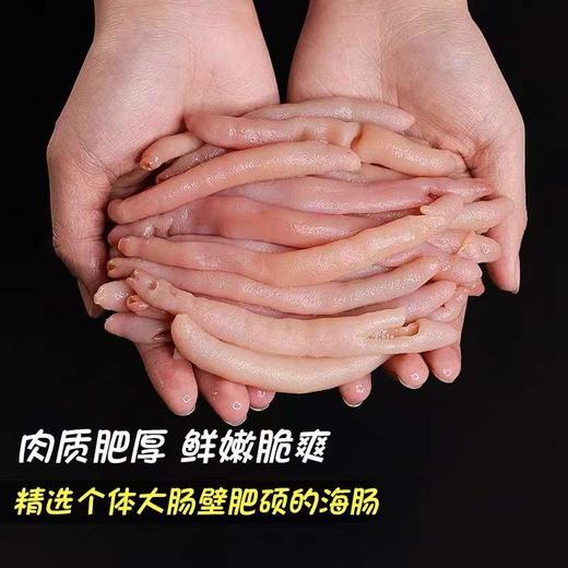 青岛特产厚皮去脏海肠皮新鲜海捕现杀冷冻包饺子捞饭 商品图1