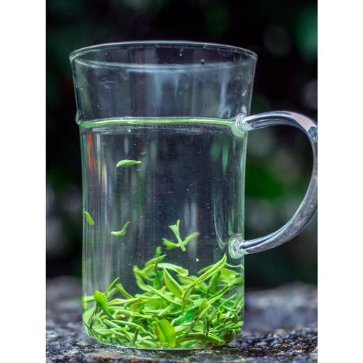 蓝焙2025年新茶明前春茶恩施玉露硒茶叶特级蒸青湖北绿茶一芽一叶罐装 商品图2