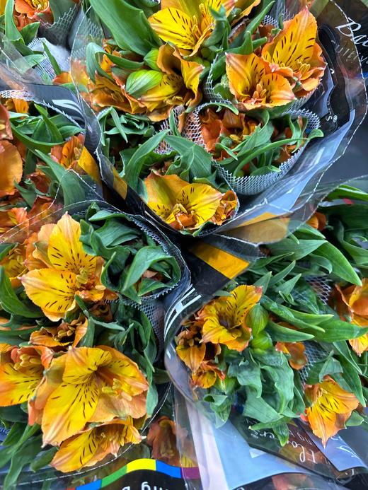 【进口六出花】橙色 5枝 商品图4