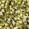 粉沙绿豆（老品种） 商品缩略图6