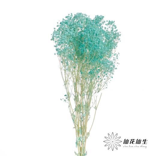 永生花材 | 梦幻星蒂芙尼蓝 商品图0