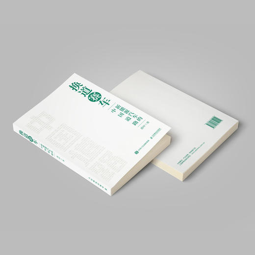 《换道赛车：新能源汽车的中国道路》 商品图13