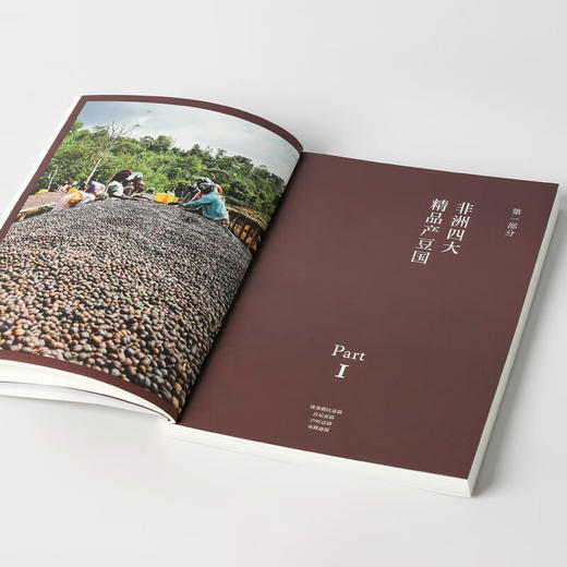 寻豆师：非洲咖啡指南 非洲精品咖啡的经典工具书 许宝霖 著 商品图7
