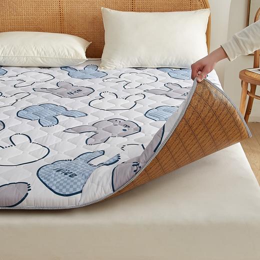 【多功能双面】印花磨毛藤席垫系列新款床垫双面榻榻米床垫 商品图5