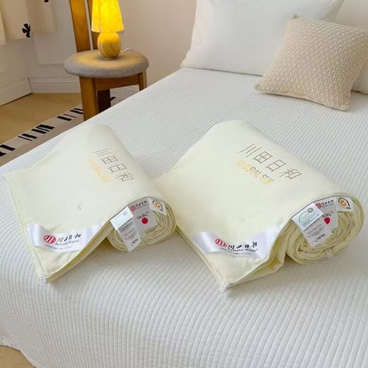 川田日和—蚕丝空调被 全套包装 商品图1