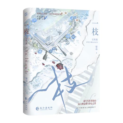 一枝 完结篇 商品图0