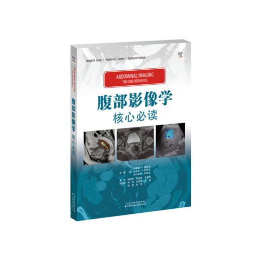 “核心必读”系列——腹部影像学：核心必读 腹部疾病 影像学 商品图2