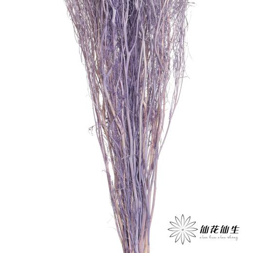 永生花材 | 小时草紫色 商品图2