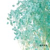 永生花材 | 梦幻星蒂芙尼蓝 商品缩略图2