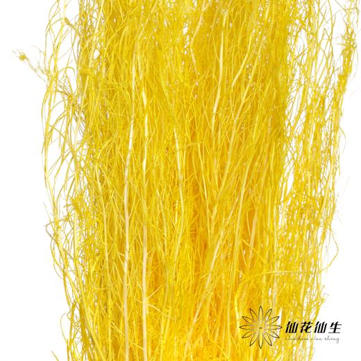 永生花材 | 小时草黄色 商品图3