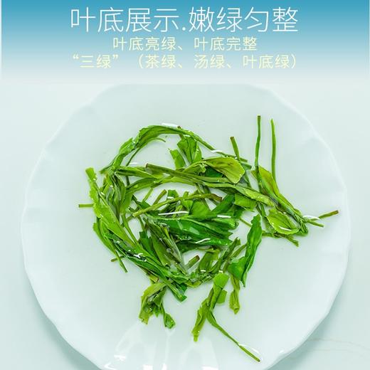 蓝焙 2024新春茶湖北高山茶富硒雨前二级恩施玉露醇香9号硒茶蒸青绿茶 恩施玉露醇香9号100克*1袋 商品图4