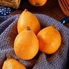 四川米易枇杷(350g±30g) 商品缩略图1