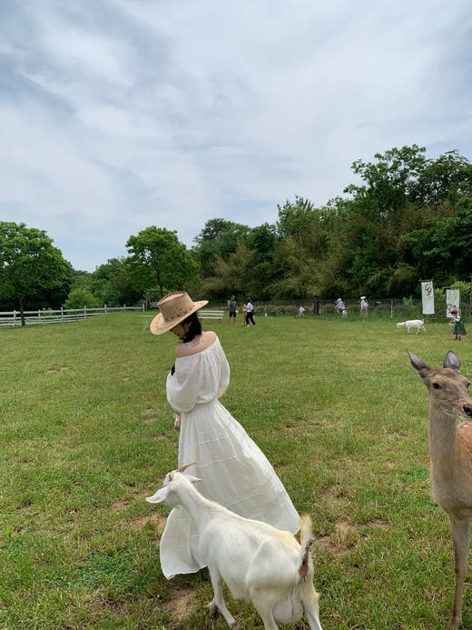 Read Nameless/罗马假日白色亚麻棉连衣裙（送麂皮腰封） 商品图9