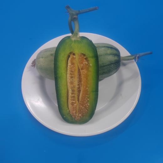 刘顺义生态香瓜 生态种植，不使用任何化肥、化学农药、化学杀虫剂、除草剂、膨大素，保果剂，激素， 采用人工除草生物防控； 地下深井水灌溉 商品图13