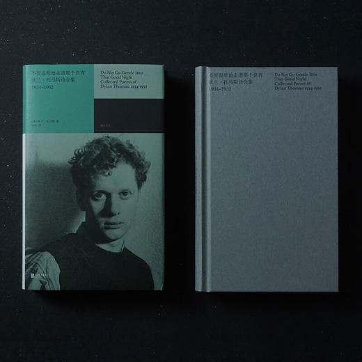 不要温顺地走进那个良宵 狄兰·托马斯诗合集1934-1952 商品图3