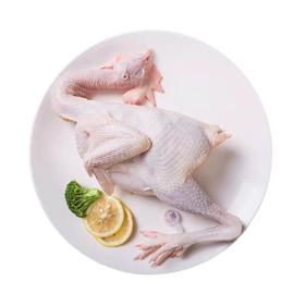 湘佳土著黄鸡（约1500g）多退少补