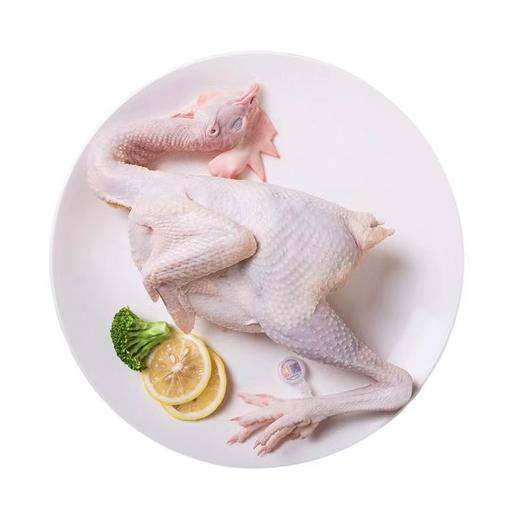 湘佳土著黄鸡（约1500g）多退少补 商品图0