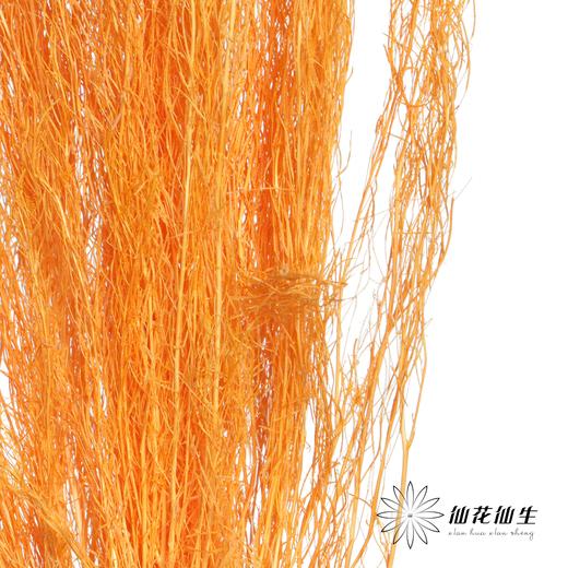 永生花材 | 小时草橙色 商品图1