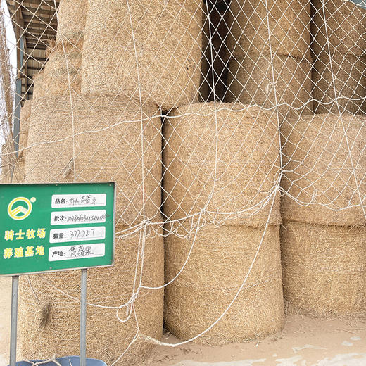 中老年有机高钙奶粉 商品图10