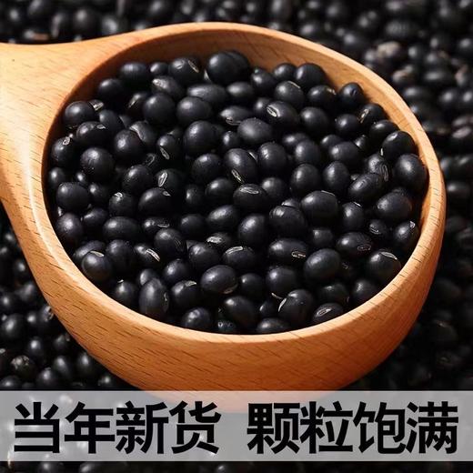 【丹东特产！绿芯黑豆400g】粒大饱满，当季新货，产地直采，豆香浓郁，可煮可炒，口感细腻，营养健康绿心黑豆400克真空包装可发芽豆草莓 商品图1