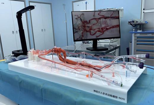 神经介入手术训练模型
型号：NVII 商品图0