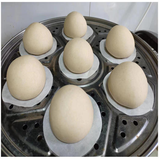 生态酵母   | 合作生产*Ecological yeast 商品图2