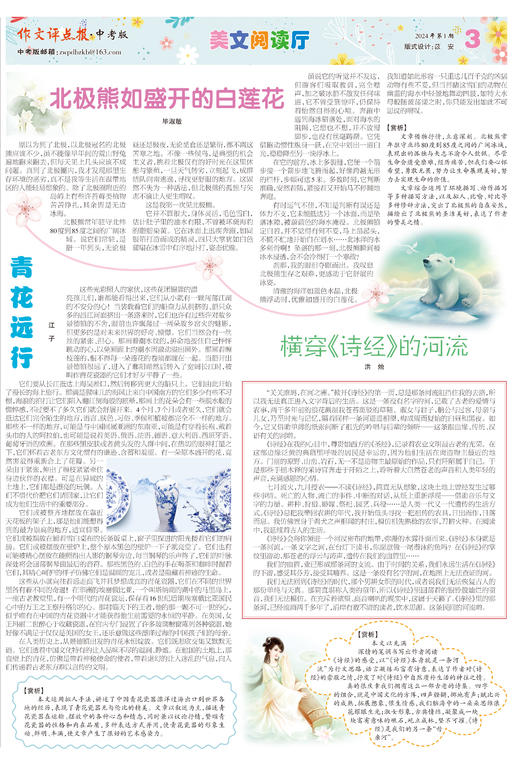 《作文评点报》2024年上半年中考版合订本 商品图3