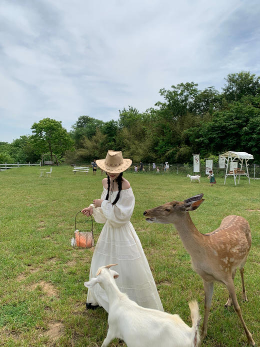 Read Nameless/罗马假日白色亚麻棉连衣裙（送麂皮腰封） 商品图8