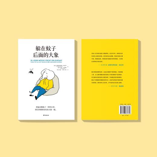 《躲在蚊子后面的大象》 商品图14