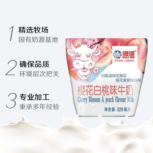海河220ml樱花白桃牛奶 商品图3