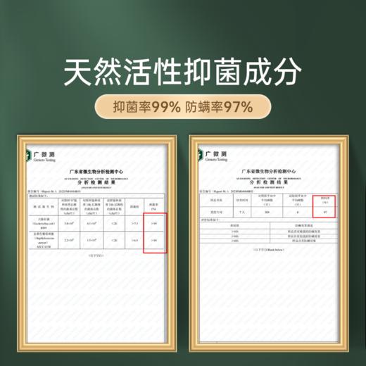 雅芳婷甜睡乳胶枕泰国进口原液舒缓颈椎颈椎专用枕头90%天然乳胶 商品图4