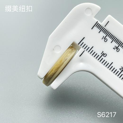 S6217(整包购买) 商品图4