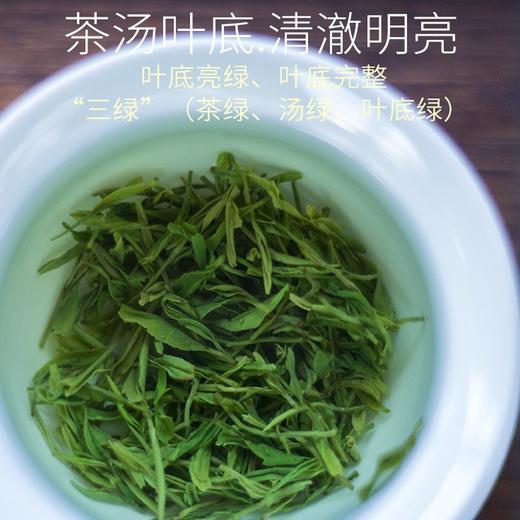 蓝焙2025年新茶明前春茶恩施玉露硒茶叶特级蒸青湖北绿茶一芽一叶罐装 商品图3