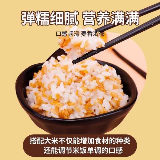 【买2送1，燕麦米500g】当季新粮，纤长饱满，原色原香，弹糯细腻，营养满满！内蒙古胚芽煮粥五谷杂粮粗粮 商品图4