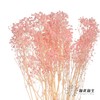 永生花材 | 梦幻星粉色 商品缩略图1