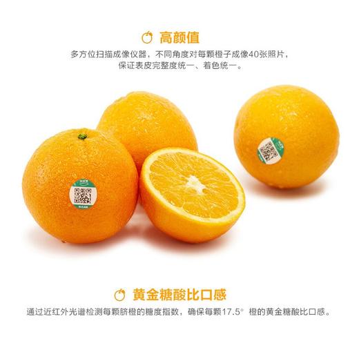 农夫山泉17.5度橙礼盒 商品图2