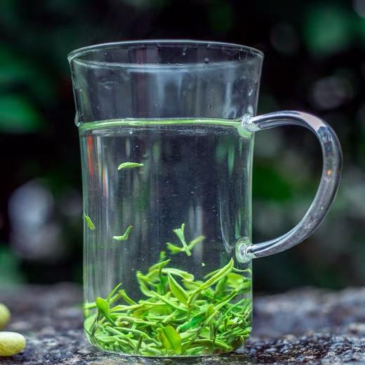 蓝焙绿茶明前特级针形恩施玉露富含硒茶春茶新茶一两叶茶叶100克罐装 100克 商品图2