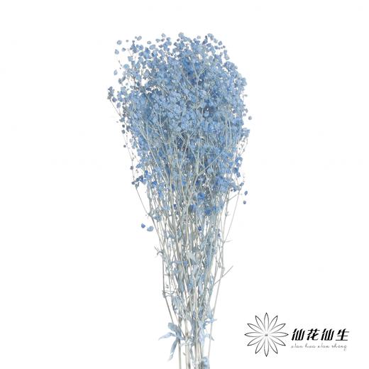 永生花材 | 梦幻星蓝色 商品图0